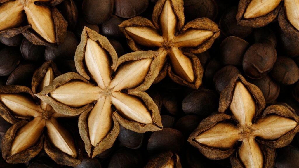 Sacha Inchi Seeds