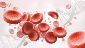 Can Stress Cause High Red Blood Cell Count