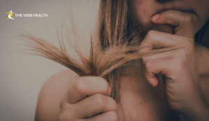 How to Tell if Your Hair is Damaged