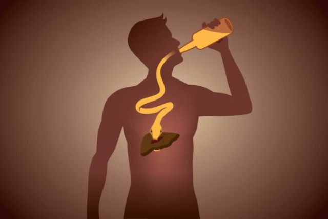 How-Is-Alcohol-Metabolized