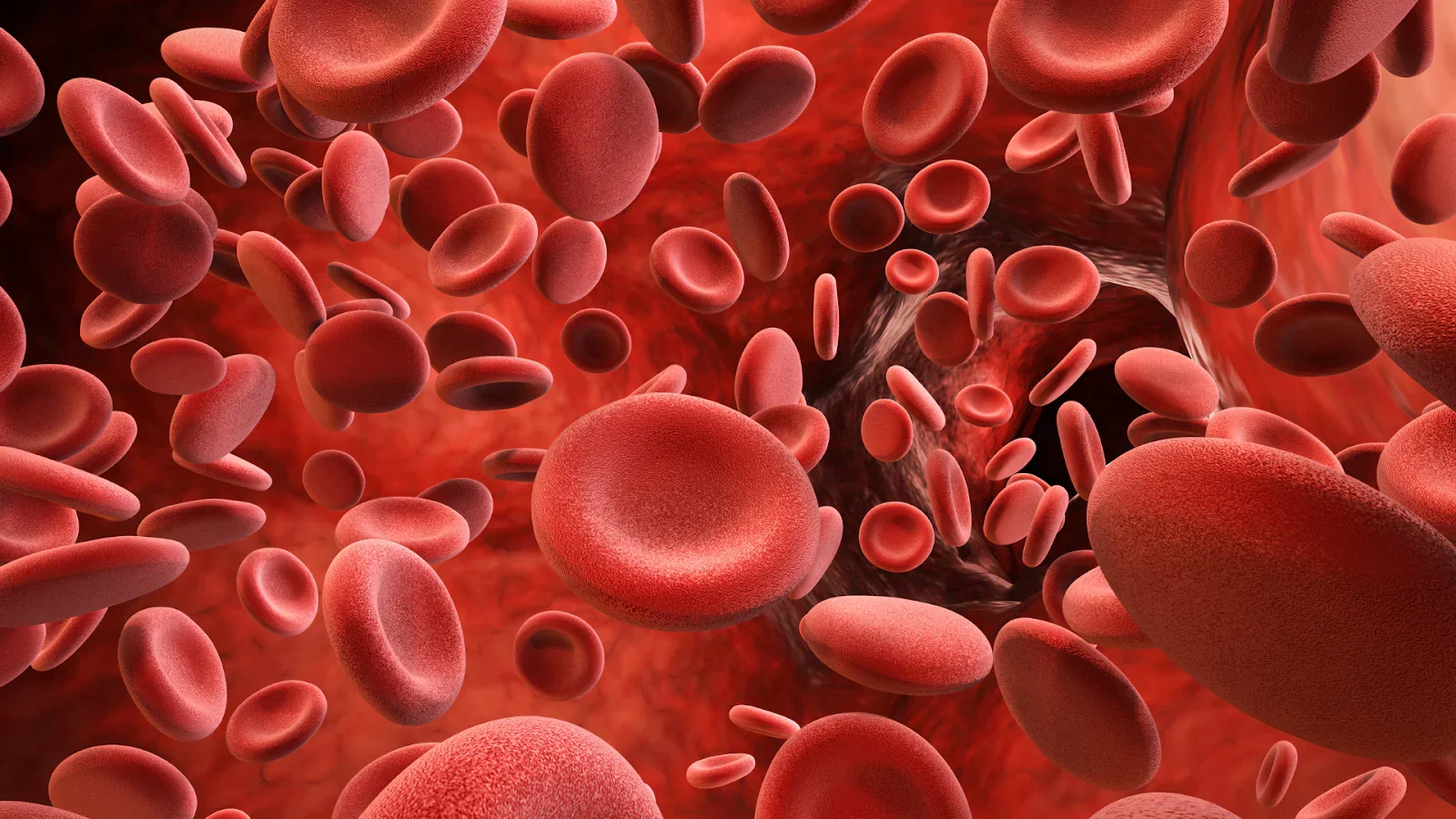 Hemoglobin Test at Home